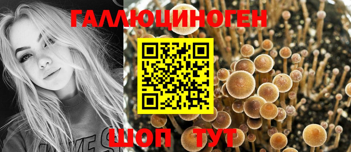 Псилоцибиновые грибы Magic Shrooms Михайловск