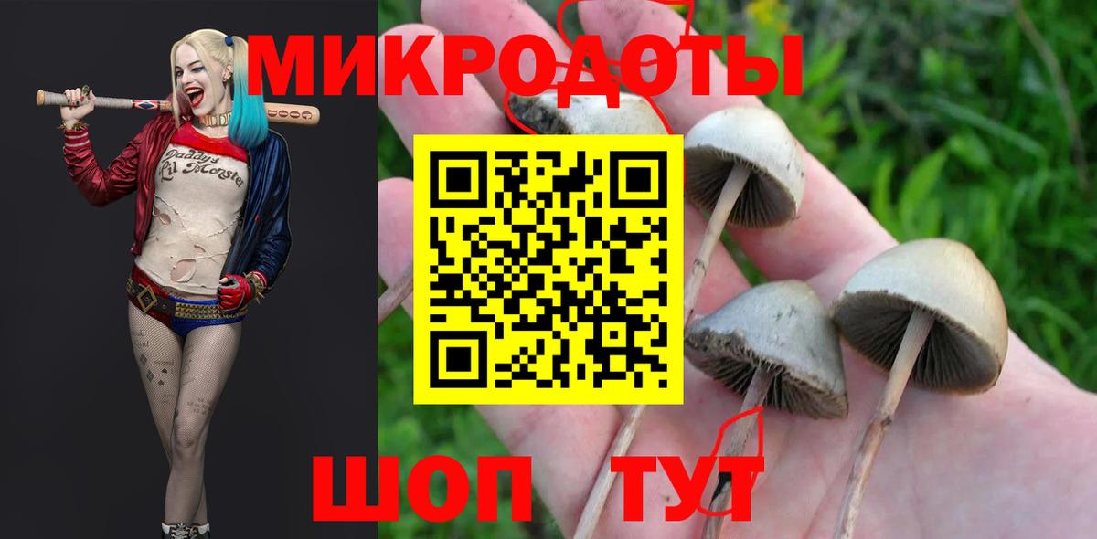 Галлюциногенные грибы GOLDEN TEACHER  Псилоцибиновые грибы мухоморы  Вход с VPN  Михайловск 